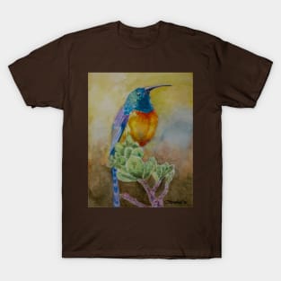 Bee Hummingbird T-Shirt